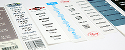 Finotex Products